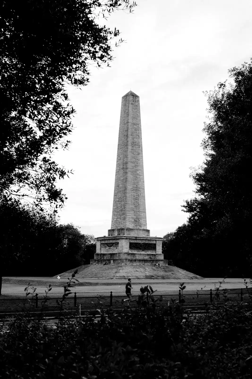 The Wellington Monument obelisk in Phoenix Park, Dublin, seen along a tree-lined path.