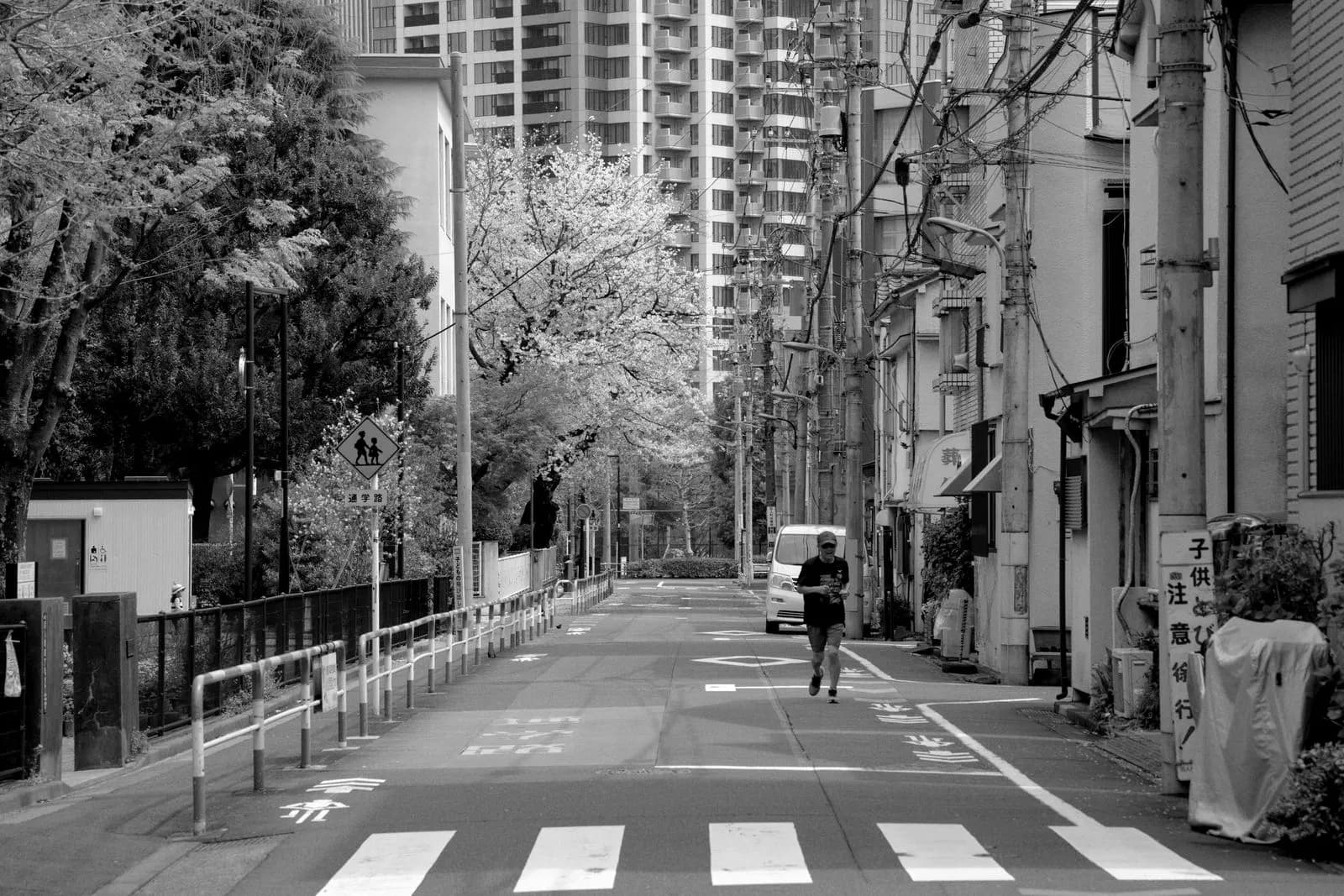A runner on a quiet residential street in Tokyo lined with cherry blossom and low-rise houses.
