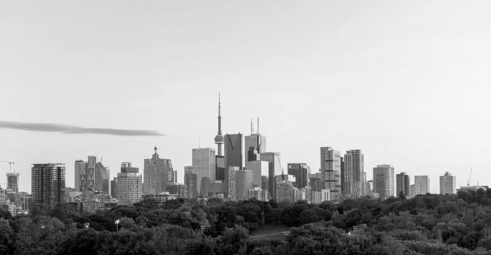 The Toronto skyline and CN Tower above the trees of Riverdale Park at dusk.